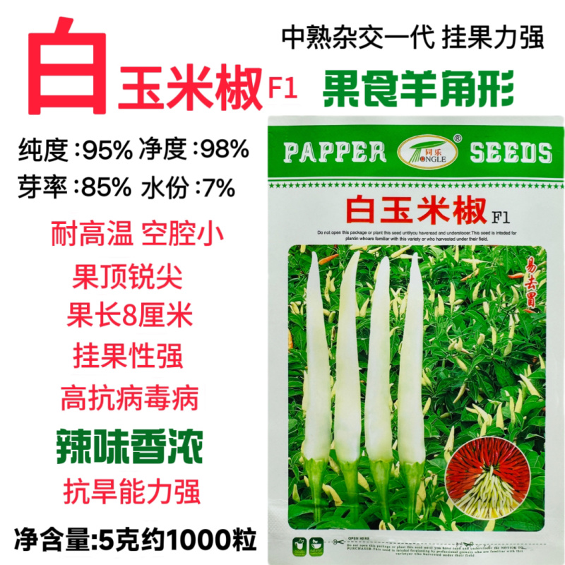 同乐白玉米椒辣椒种子中熟杂交一代果皮厚果形直辣味香浓