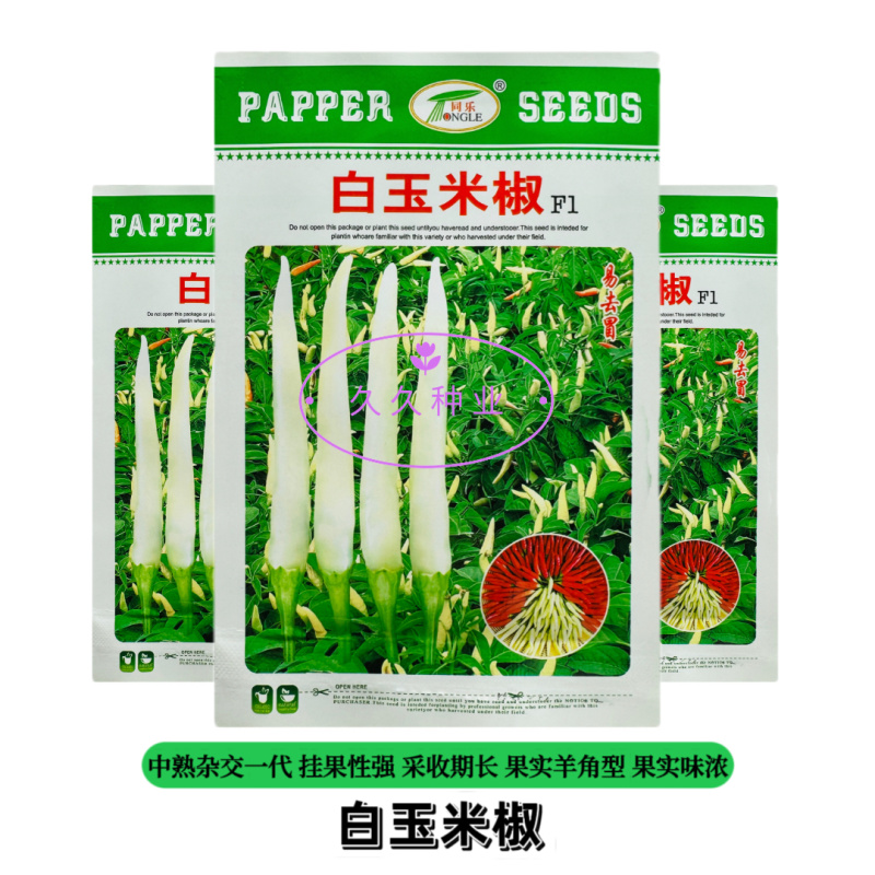 同乐白玉米椒辣椒种子中熟杂交一代果皮厚果形直辣味香浓