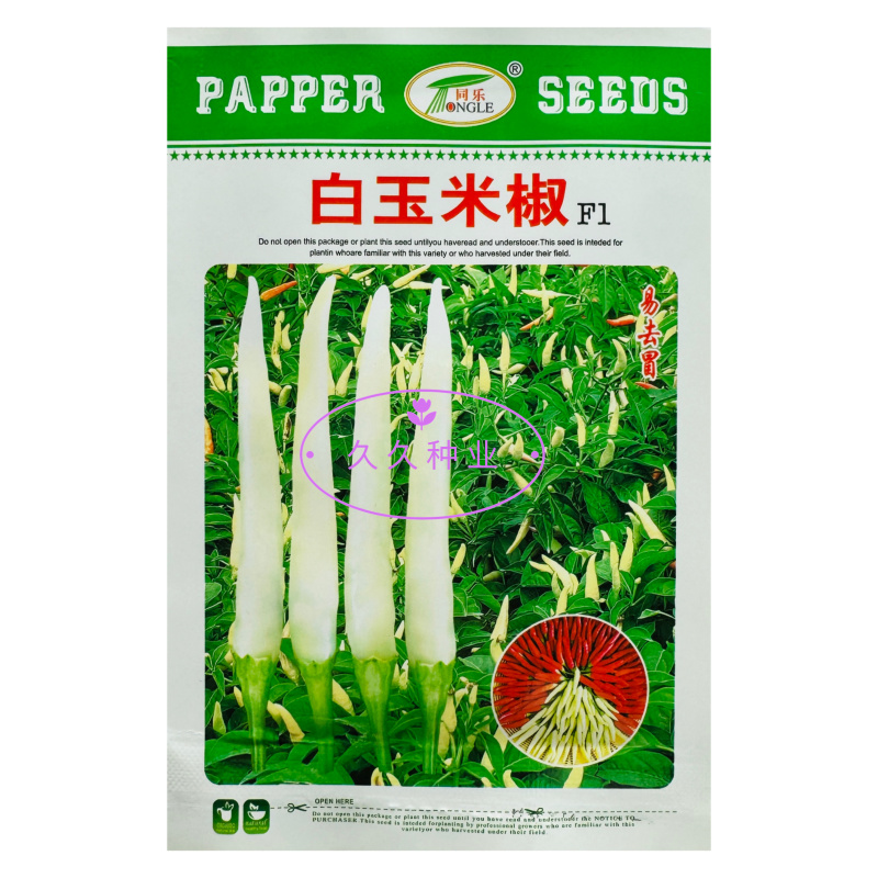 同乐白玉米椒辣椒种子中熟杂交一代果皮厚果形直辣味香浓