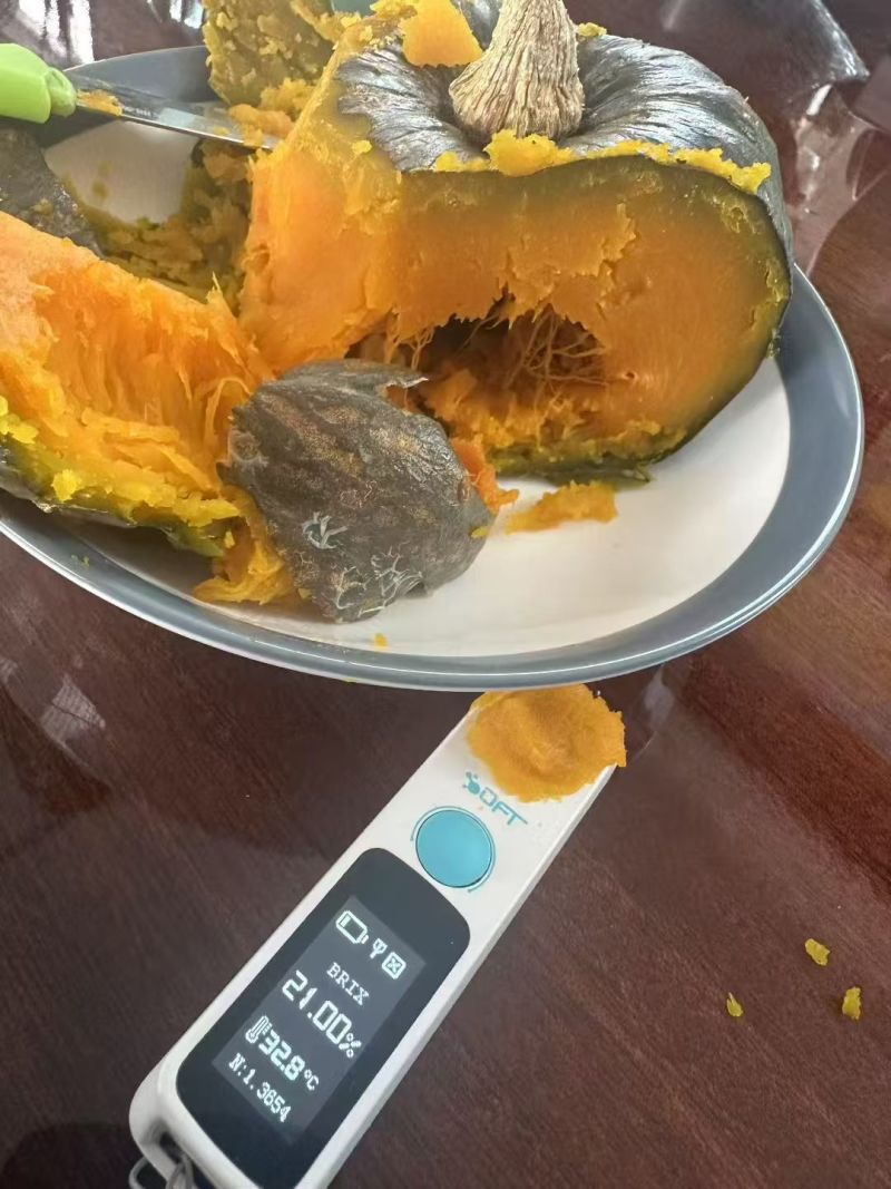 爆粉贝贝南瓜上市中对接商超电商批发市场均可产地一手货源