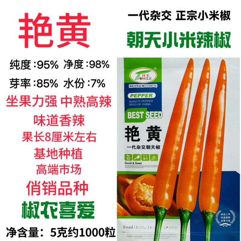 同乐艳黄朝天椒种子口感香辣中熟顺直耐热耐湿辣椒种子