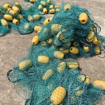拉网