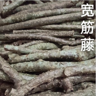 新鲜宽筋藤舒筋藤中草药青筋藤松筋藤包邮