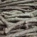新鲜宽筋藤舒筋藤中草药青筋藤松筋藤包邮