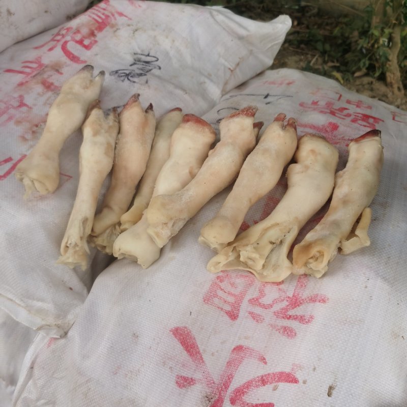 羊蹄，羊蹄子，量大质优，一手货源支持全国冷链发货