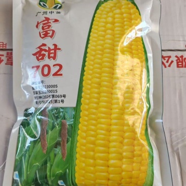 400g富甜702玉米种子