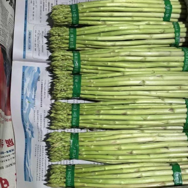原生态芦笋基地，一手货源，只做精品，懂货的来
