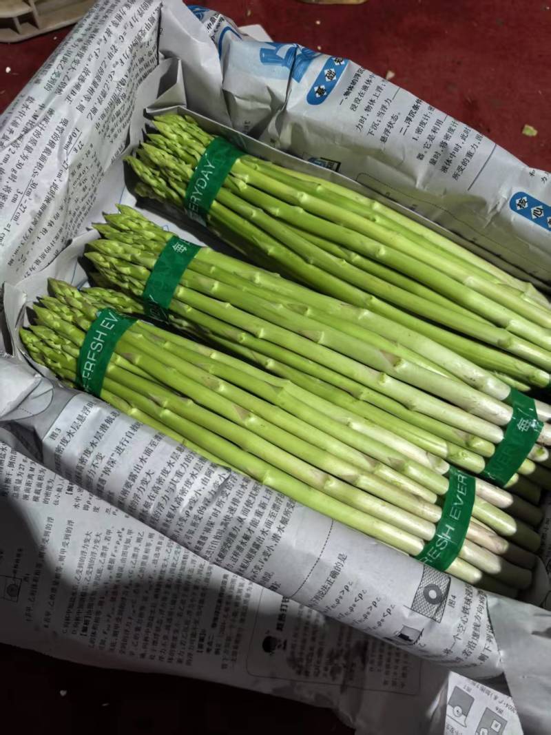 原生态芦笋基地，一手货源，只做精品，懂货的来
