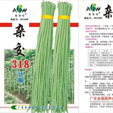 200g杂交318豆角种子