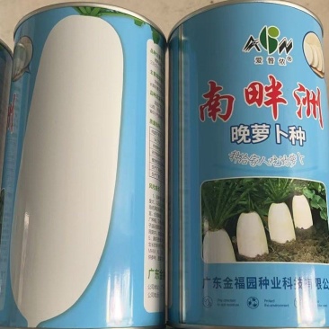 400g南畔洲晚萝卜种子