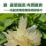 湖南怀化冰糖柚麻麻柚香柚药柚新鲜现摘脆甜多汁皮薄肉厚