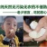 湖南怀化冰糖柚麻麻柚香柚药柚新鲜现摘脆甜多汁皮薄肉厚