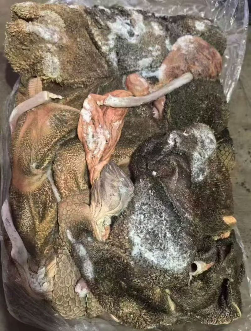 羊毛肚100吨