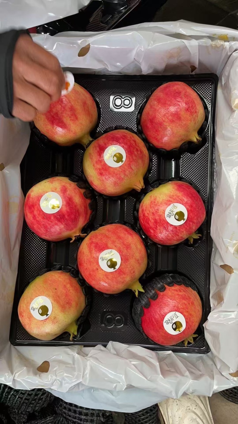 突尼斯软籽石榴