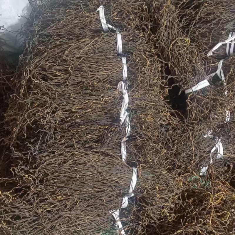 干豆角，风干豆角，绿皮，白皮豆角，欢迎各位老板前来合作。