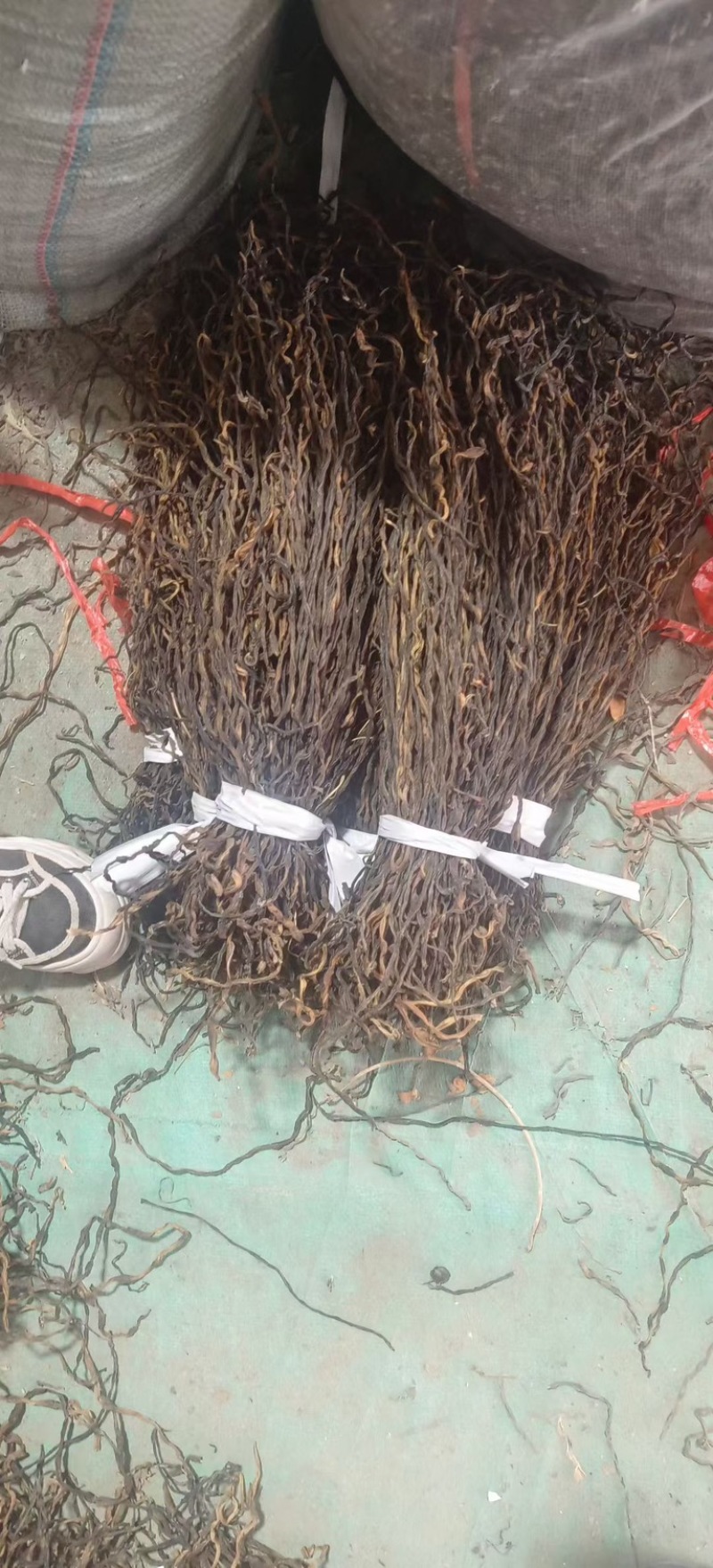 干豆角，风干豆角，绿皮，白皮豆角，欢迎各位老板前来合作。