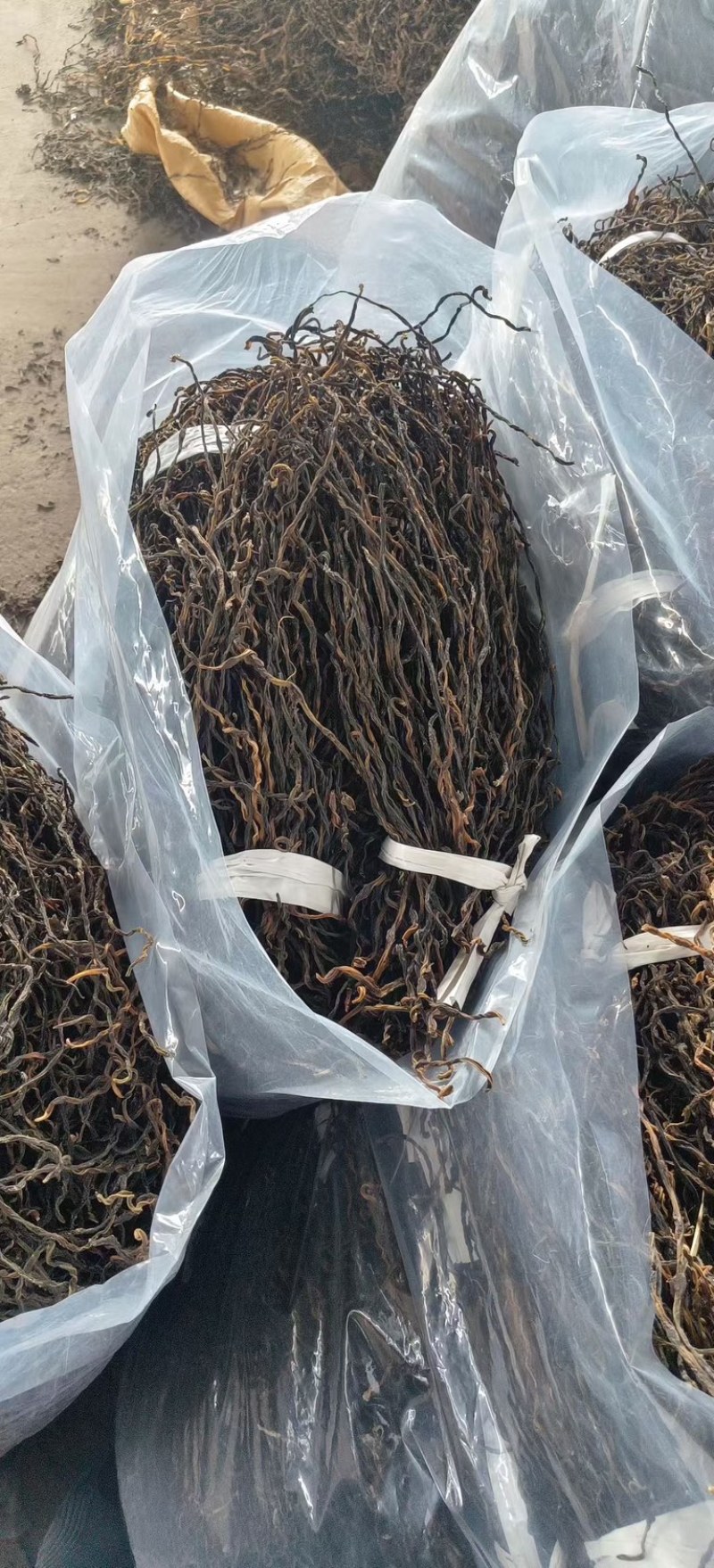 干豆角，风干豆角，绿皮，白皮豆角，欢迎各位老板前来合作。
