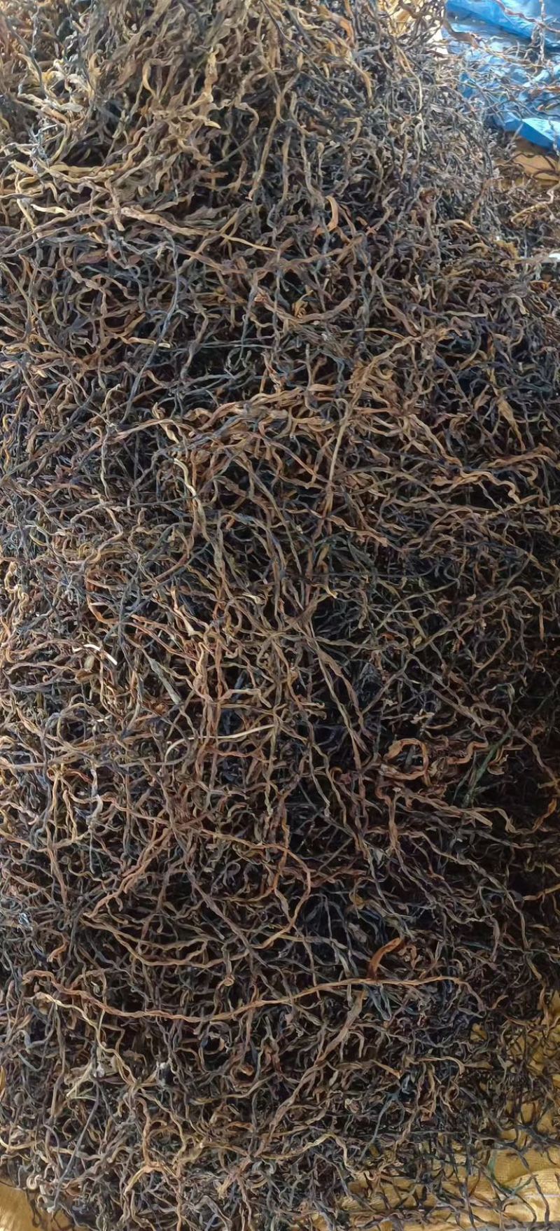 干豆角，风干豆角，绿皮，白皮豆角，欢迎各位老板前来合作。