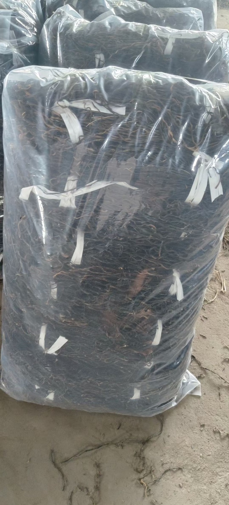 干豆角，风干豆角，绿皮，白皮豆角，欢迎各位老板前来合作。