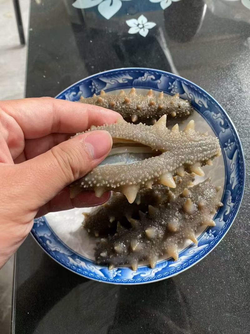 到了吃海参的季节，来吧，口感很好