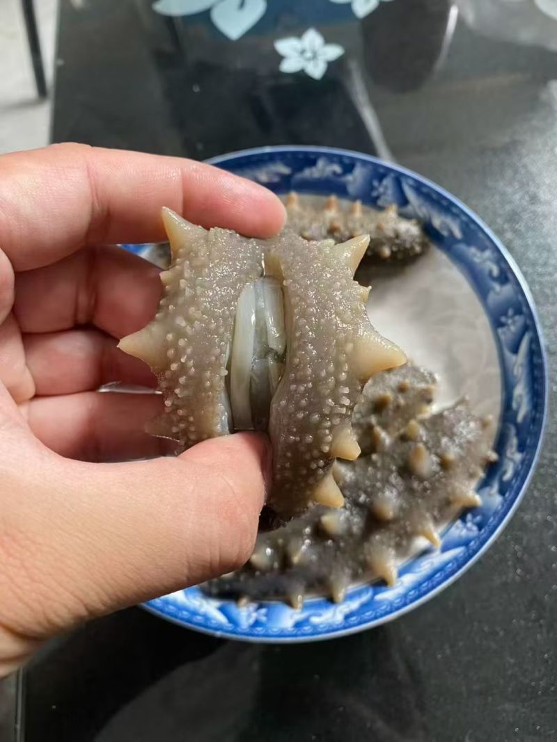 到了吃海参的季节，来吧，口感很好