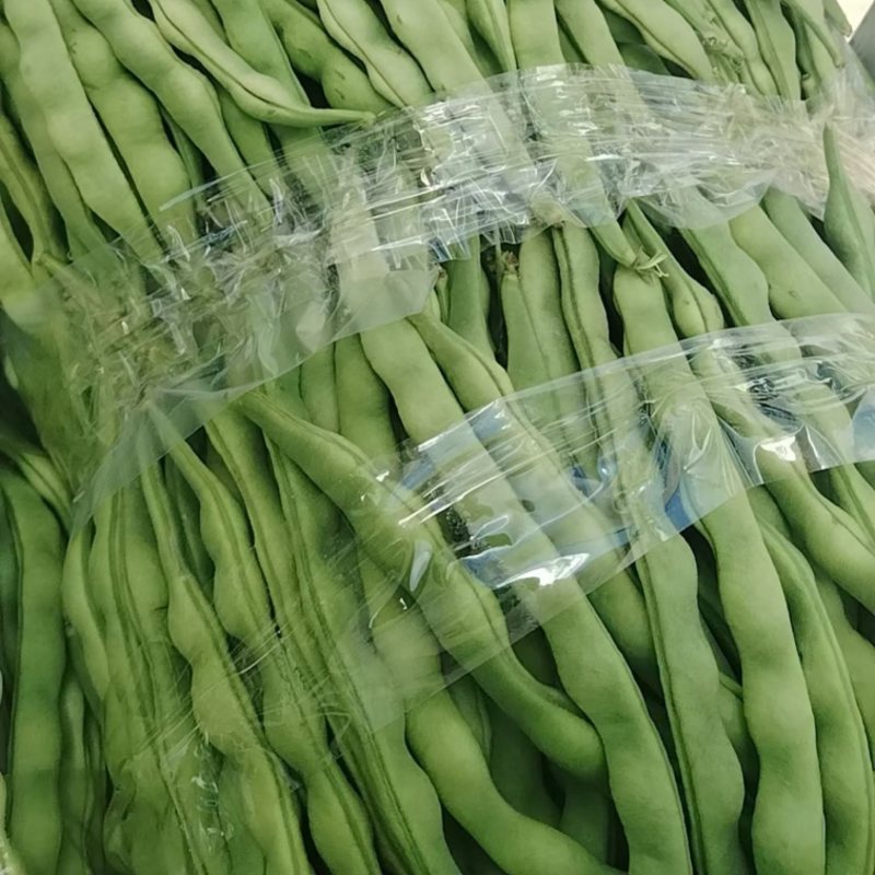 新苗上市肉豆，棒豆，青豆，芸豆，大青豆产地直供