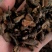 野生地榆足斤足两一手货源产地直供量大从优️可打粉