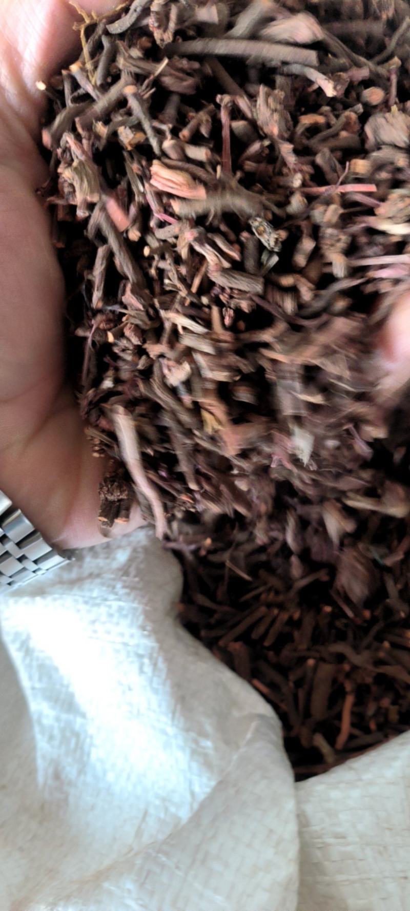优选茜草山东野生货各种规各产地直供量大从优️批发