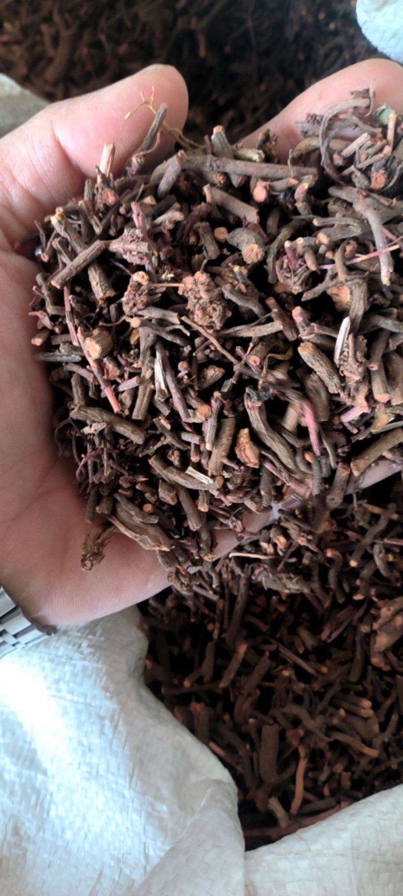 优选茜草山东野生货各种规各产地直供量大从优️批发