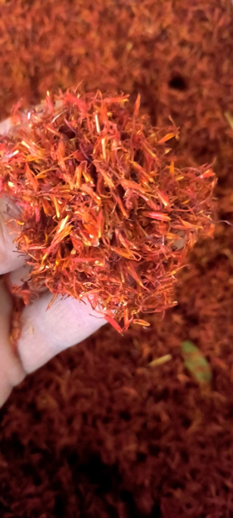 农偪产品红花纯净货山东质量上乘价格美丽欢迎可打粉