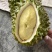金枕榴莲干苞黄肉