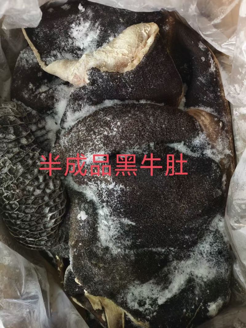 半成品黑牛肚