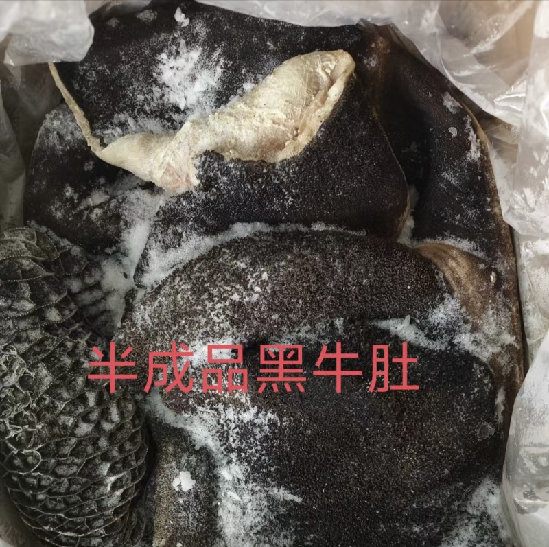半成品黑牛肚