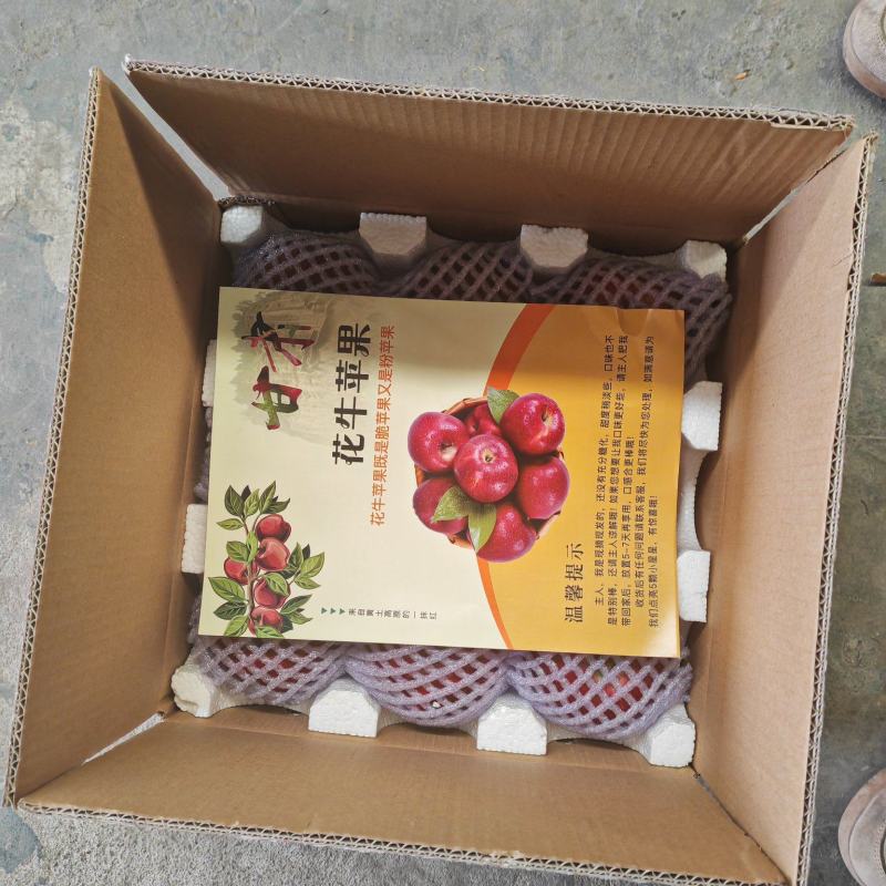 甘肃天水花牛苹果