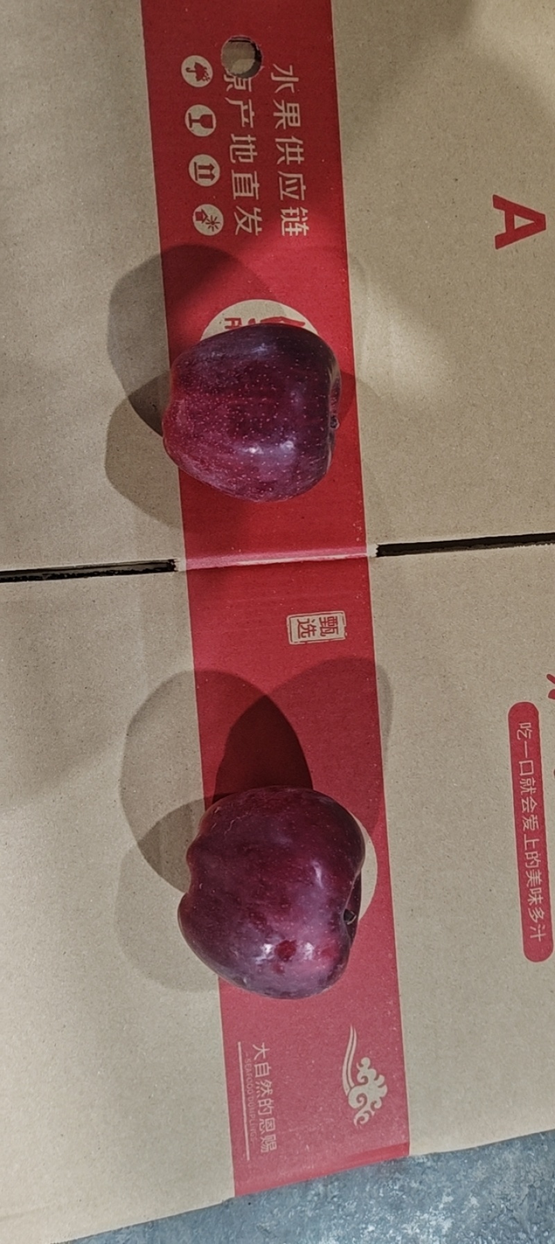 甘肃天水花牛苹果