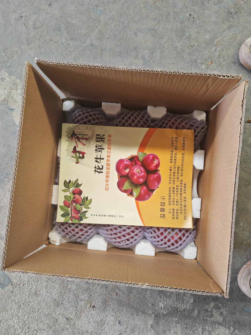 甘肃天水花牛苹果