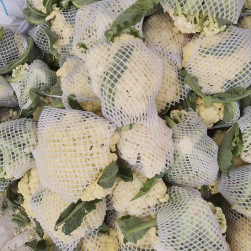 花菜大量有货产地直发价格实惠欢迎各位老板前来购买