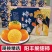 《阳丰甜子》阳丰甜柿/阳丰脆柿/产地货源/批发电商代发