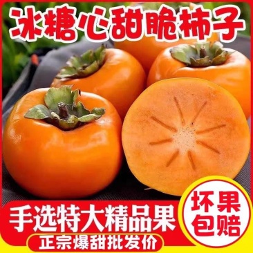 《阳丰甜子》阳丰甜柿/巧克力柿子/批发电商供应