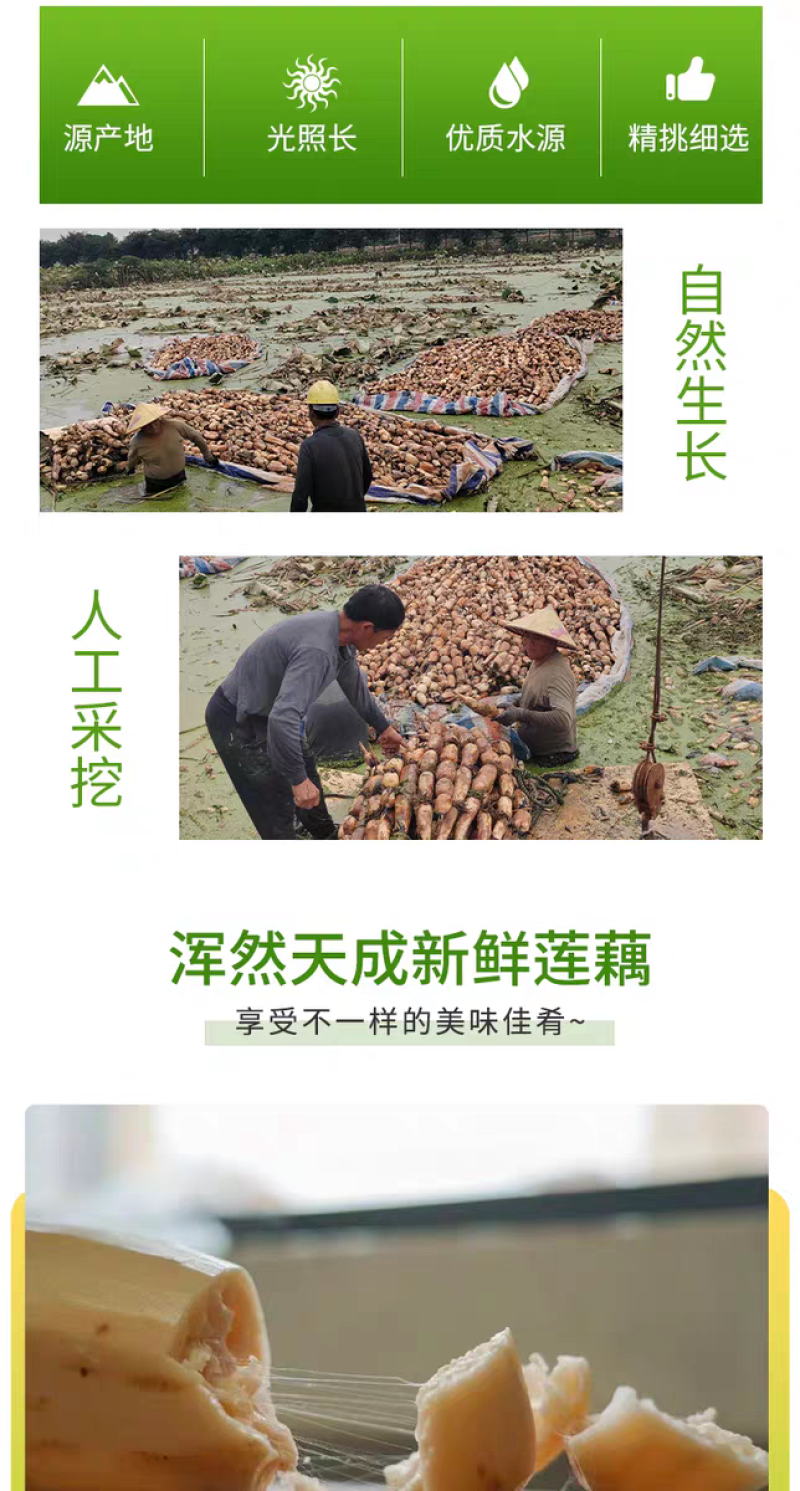 ***，不泡药，现挖现发