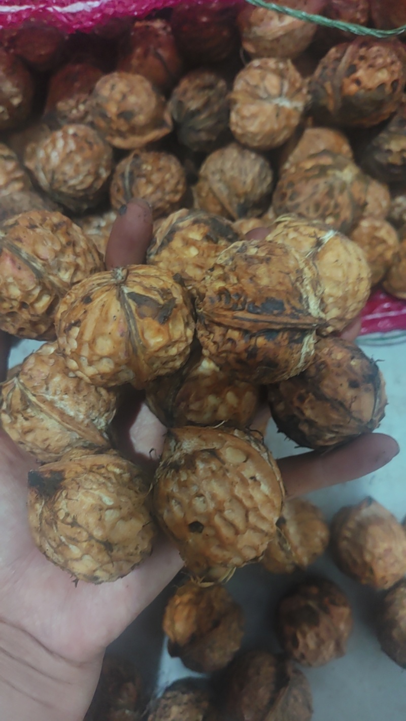大类嘴