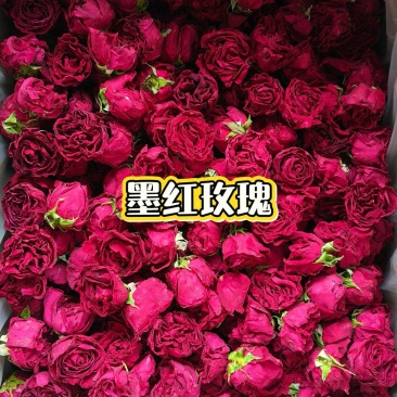 云南冻干精品定型墨红玫瑰，一件也是批发价YTYTYT78