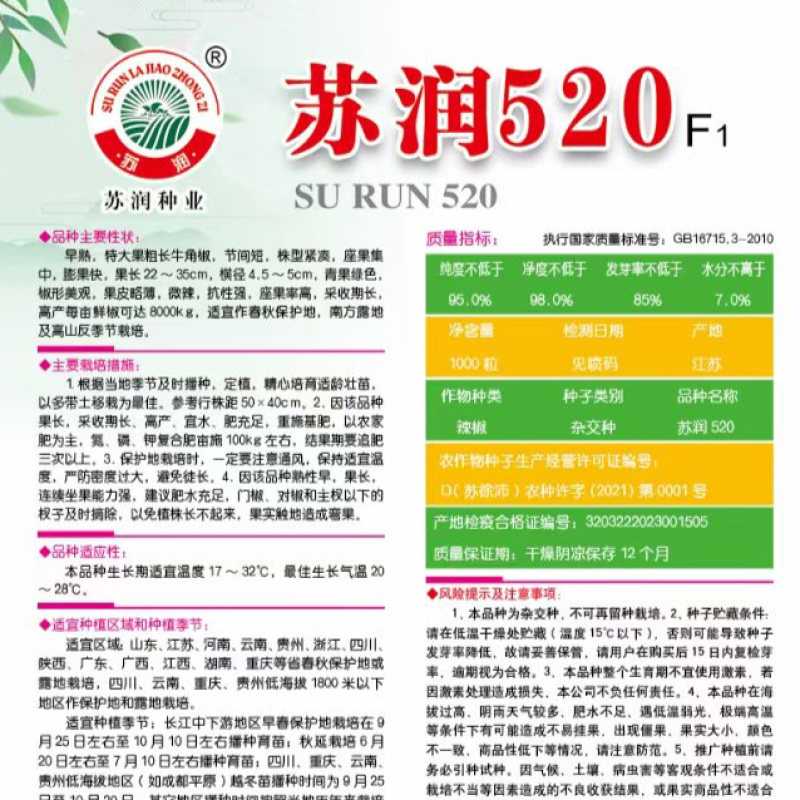 苏润520牛角椒种子大果薄皮微辣早熟粗泡椒长绿青皮辣椒种