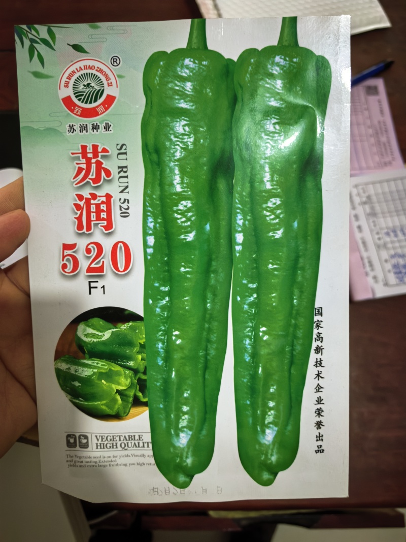 苏润520牛角椒种子大果薄皮微辣早熟粗泡椒长绿青皮辣椒种
