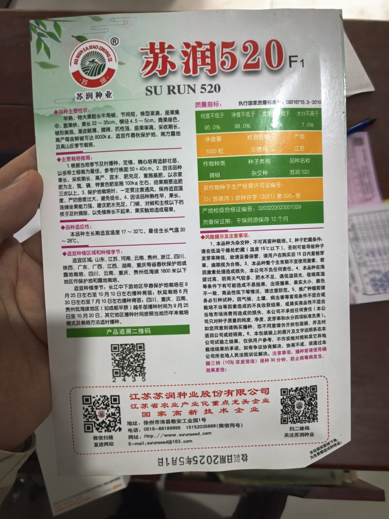 苏润520牛角椒种子大果薄皮微辣早熟粗泡椒长绿青皮辣椒种