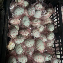 窝坑真空咸鸭蛋，