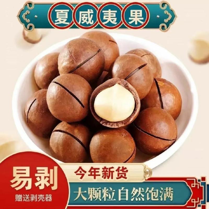 夏威夷果新货送开果器个大薄皮烘焙大果商用电商一件代发