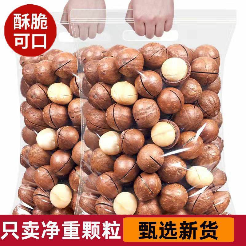 夏威夷果新货送开果器个大薄皮烘焙大果商用电商一件代发