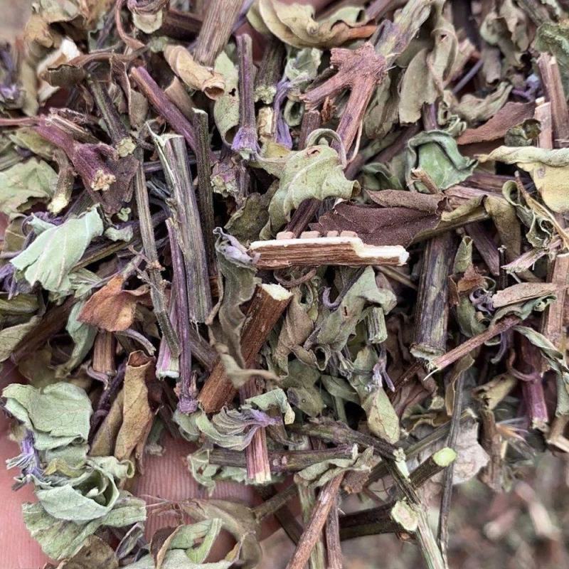 猫须草茶新鲜晒干猫须新鲜干货