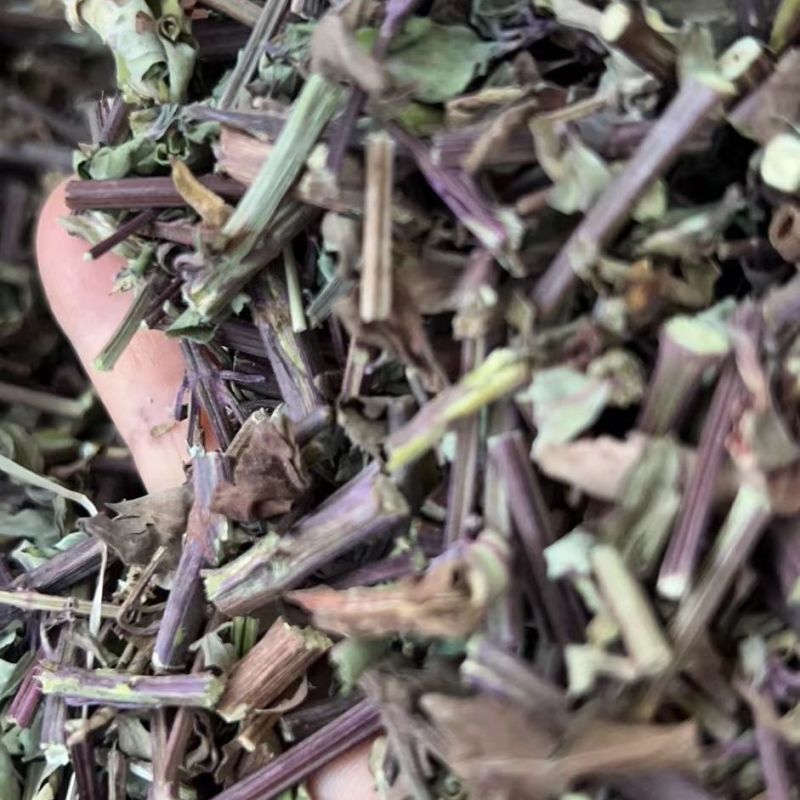 猫须草茶新鲜晒干猫须新鲜干货